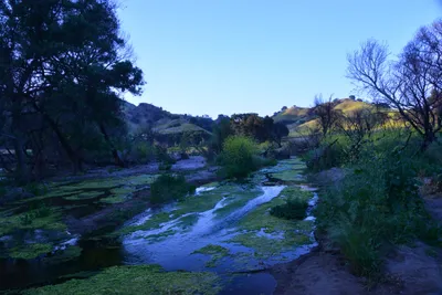 DSC_6227 (Large).JPG